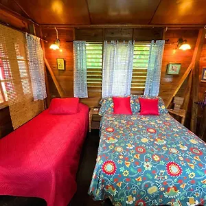 Judy House And Negril